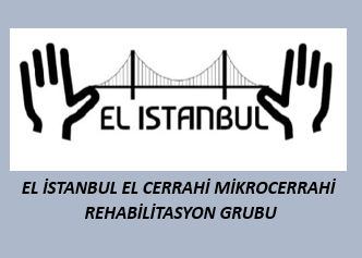 el cerrahisi mikrocerrahi ve rehabilitasyon grubu istanbul elcerrahisi